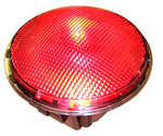 red-ast1.JPG